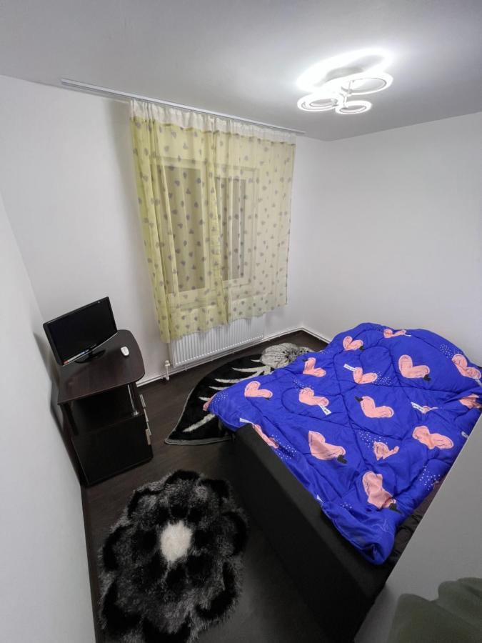 Jas Apartament Appartement Lupeni  Buitenkant foto