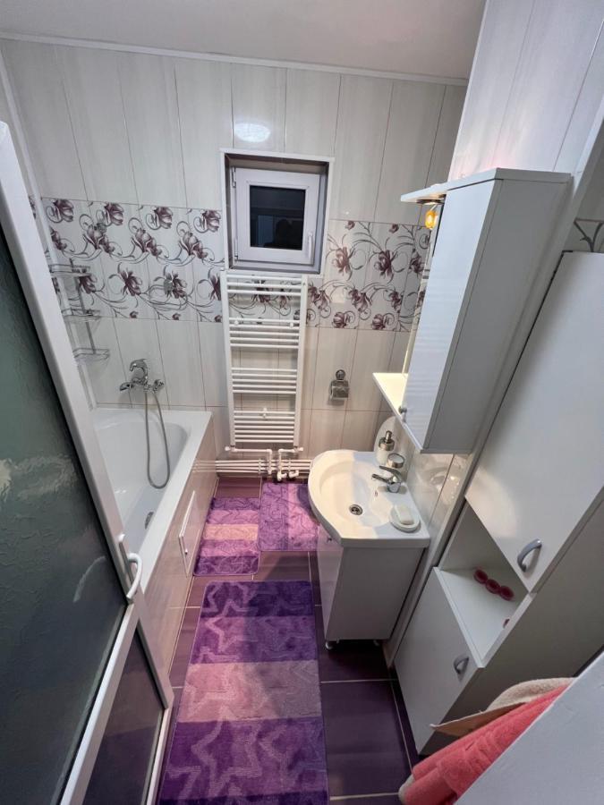 Jas Apartament Appartement Lupeni  Buitenkant foto